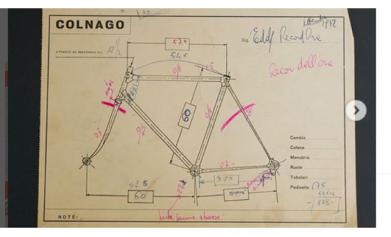 colnago progetto archivio